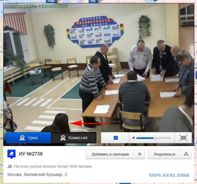Веб-камеры на избирательных участках