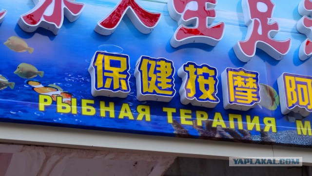 Русские вывески в Китае