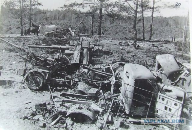 Документальные фото ВОВ 1941-1945