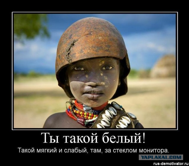 Равнодушные снимали на регистратор убийство