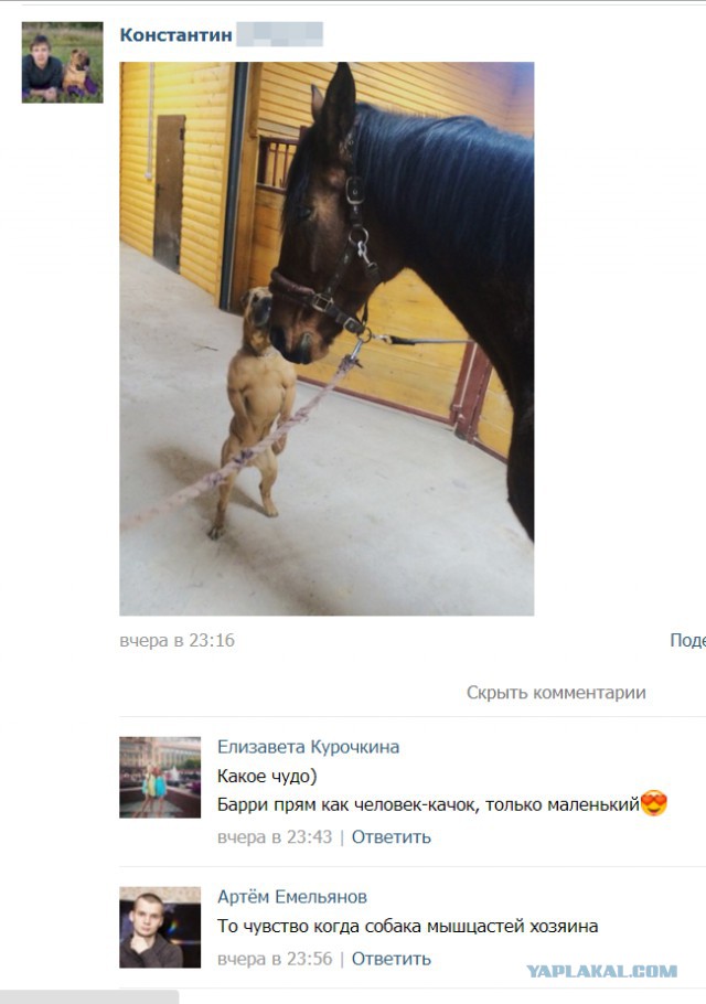 Картинки разные из сети