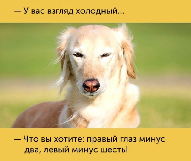 15 проблем, которые поймут только люди с плохим зрением