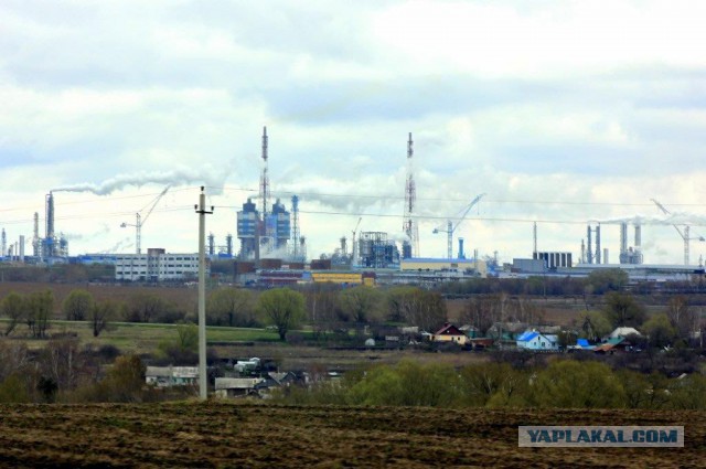 Сельскохозяйственный эксперимент ч. 7