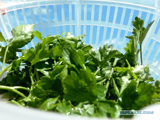 Готовят наши дети и мы готовим для детей.