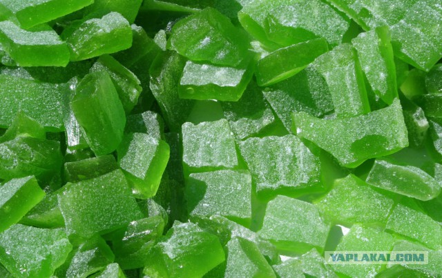 Юкка: уход и размножение