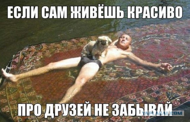Прикольные картинки