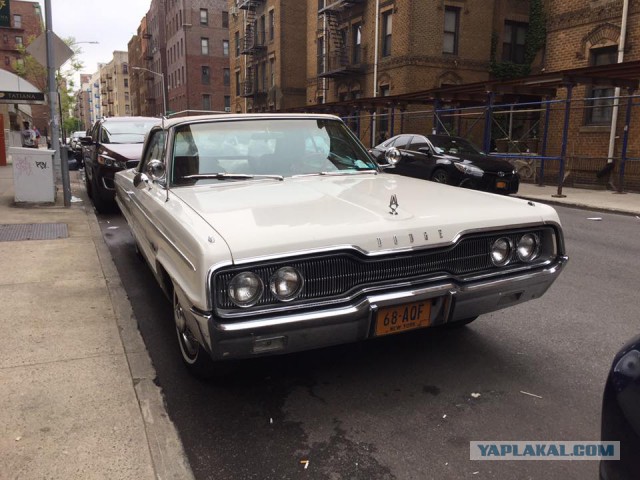 Только что увидел Dodge Polara на улице!