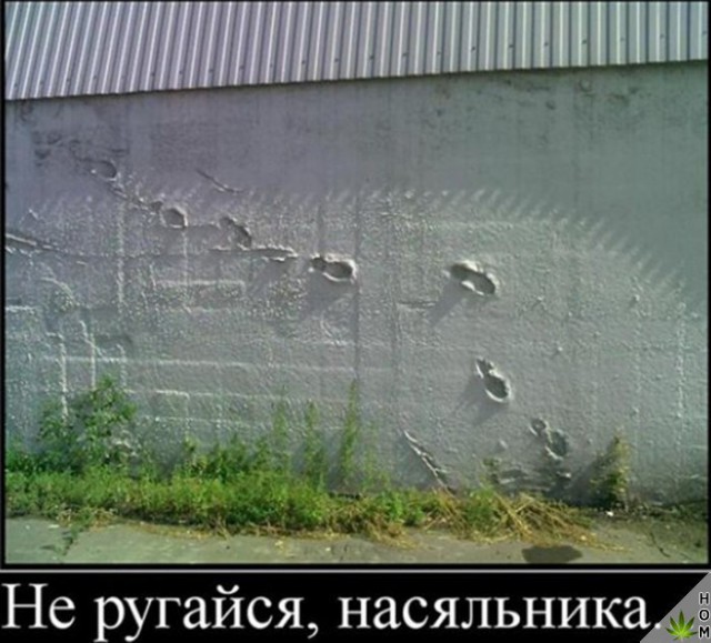 Смешные и не очень картинки из этих ваших интернетов