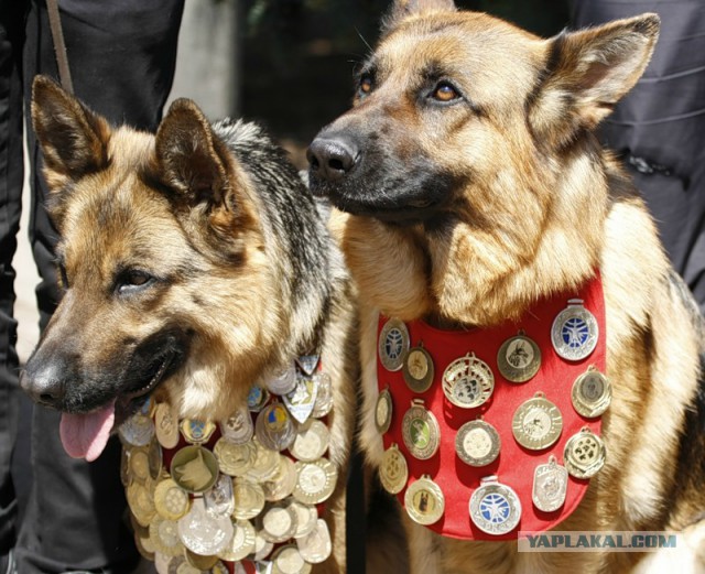 30 снимков, которые помогут улыбнуться даже в самый ненастный день
