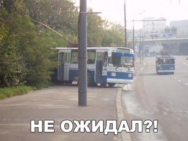 Нестандартный юмор