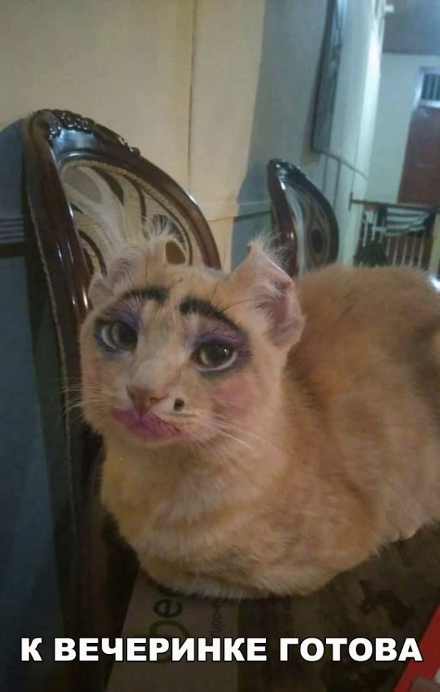 Нестандартный юмор