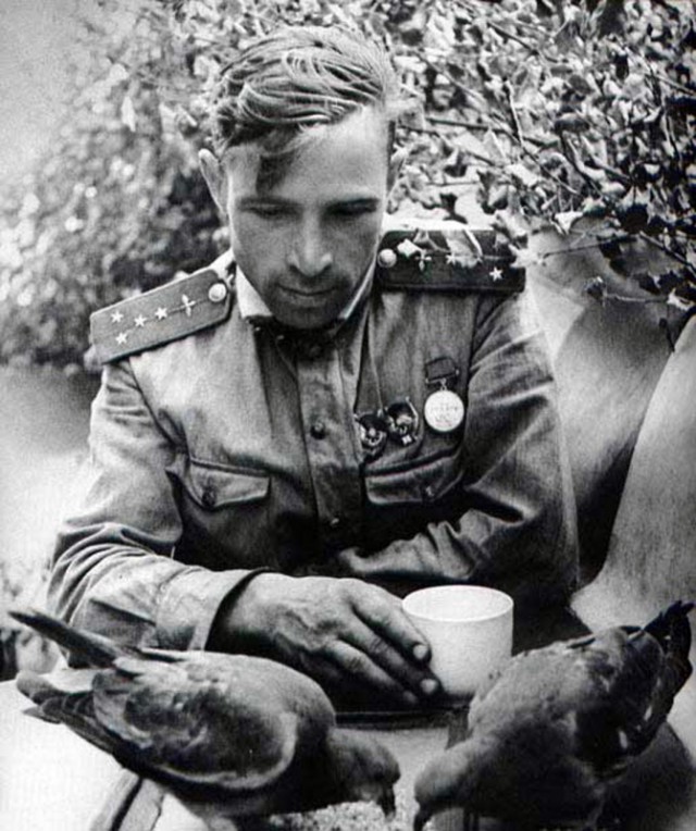 История в фотографиях - II