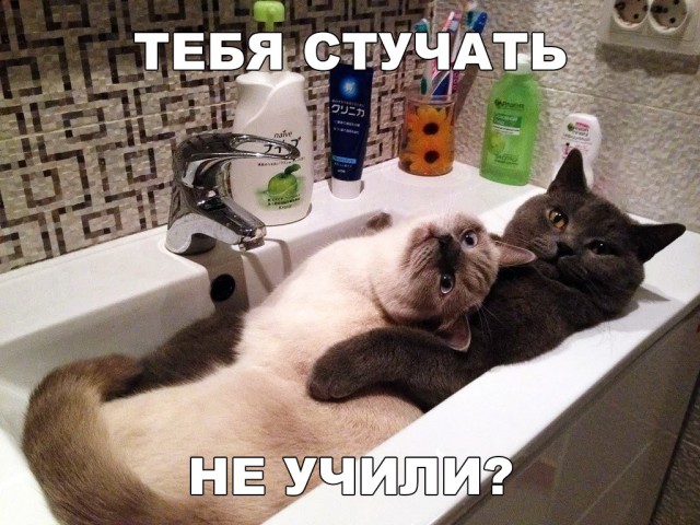 Прикольные картинки абавсём