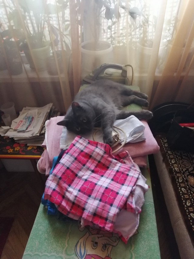 Живность из сети