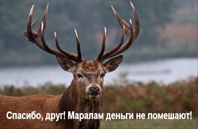 В Башкирии оправдали водителя, насмерть сбившего школьника