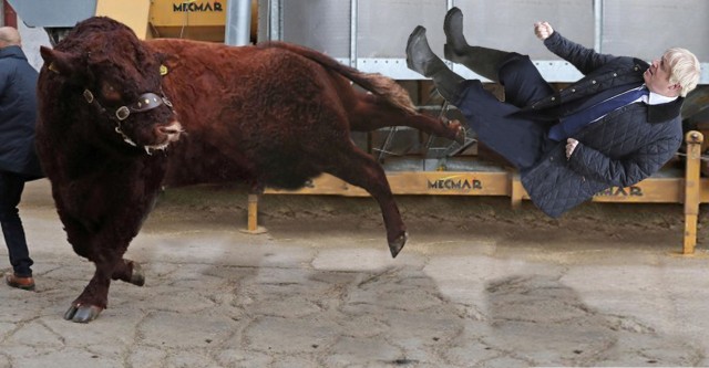 Фотожаба "На поводке"