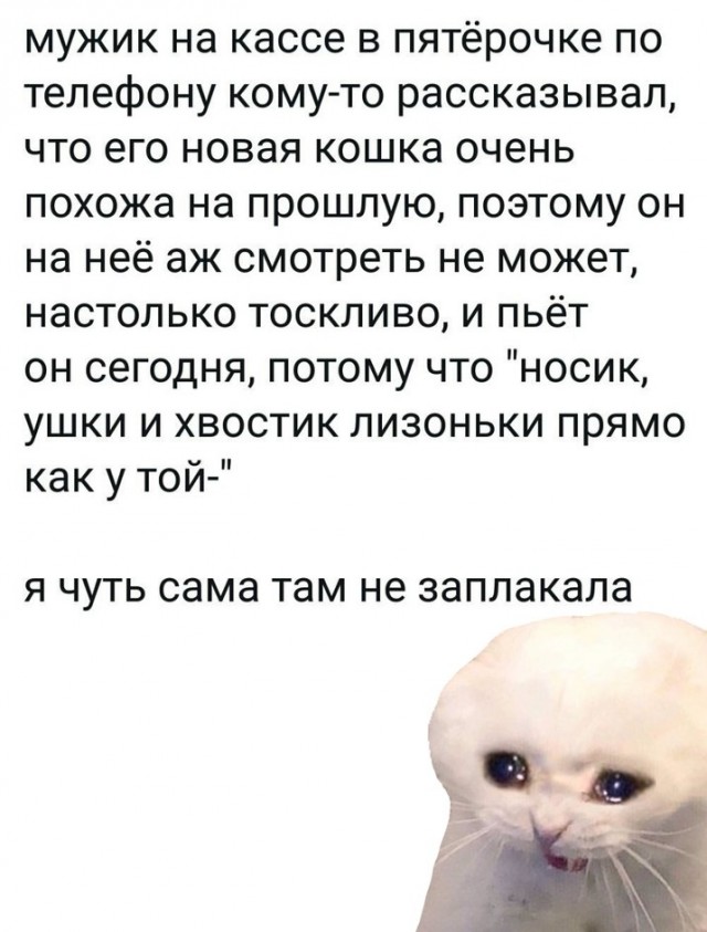 Немного картинок для настроения 06.12.19