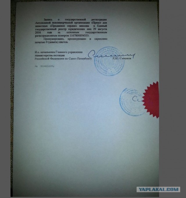 Помогите вернуть кота! Приют "Преданное сердце" украл кота и не отдает!-2
