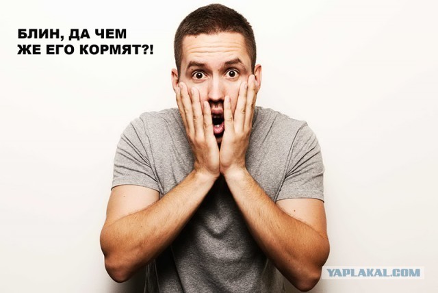 Сын генпрокурора Чайки заехал в магазин на Тверской