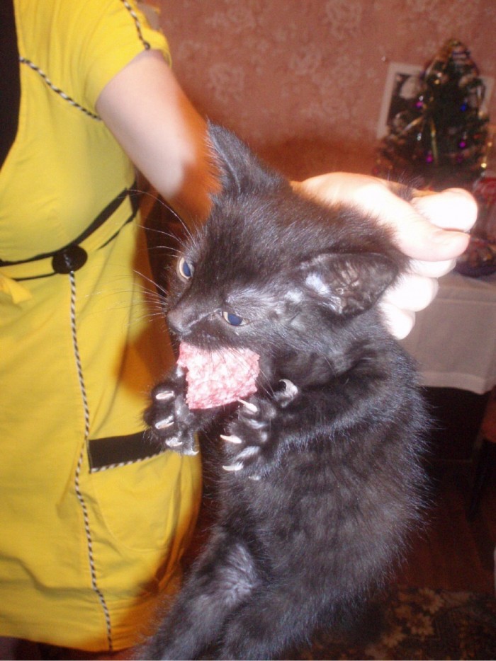 Почему хороших девочек не зовут замуж?