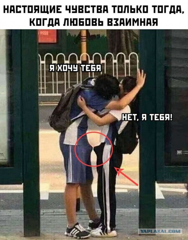 Юмор на любителя