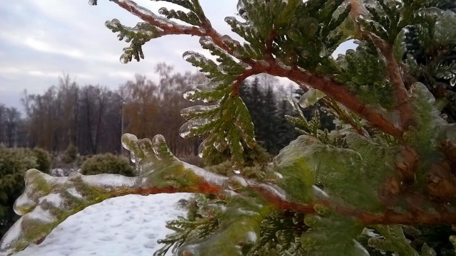 Дождь ледяной, красавчик