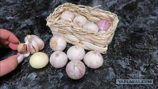 Бесит современный чеснок, ну просто бесит!