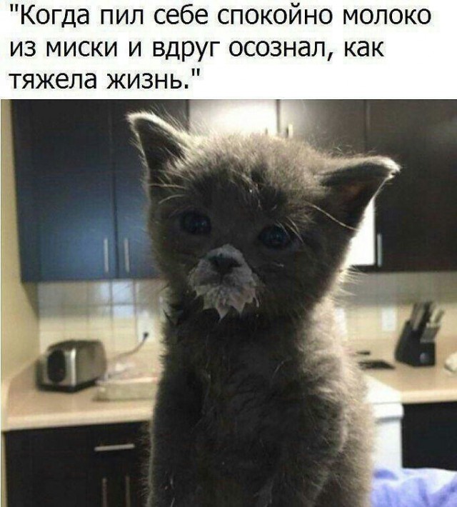 Немного картинок для настроения 119