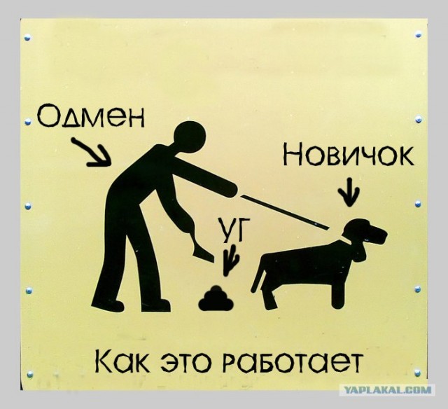 Фотожаба: Собака друг человека