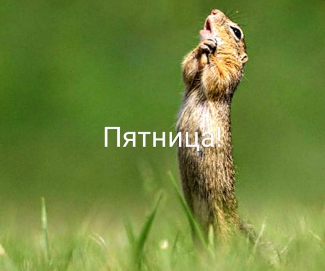 Немного картинок для настроения 11.09.20