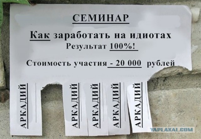 Перлы 08.02.2021