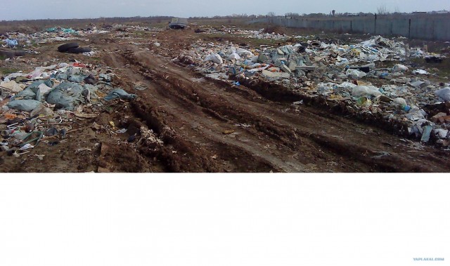 Стоп Хам 62 Для руководства МВД