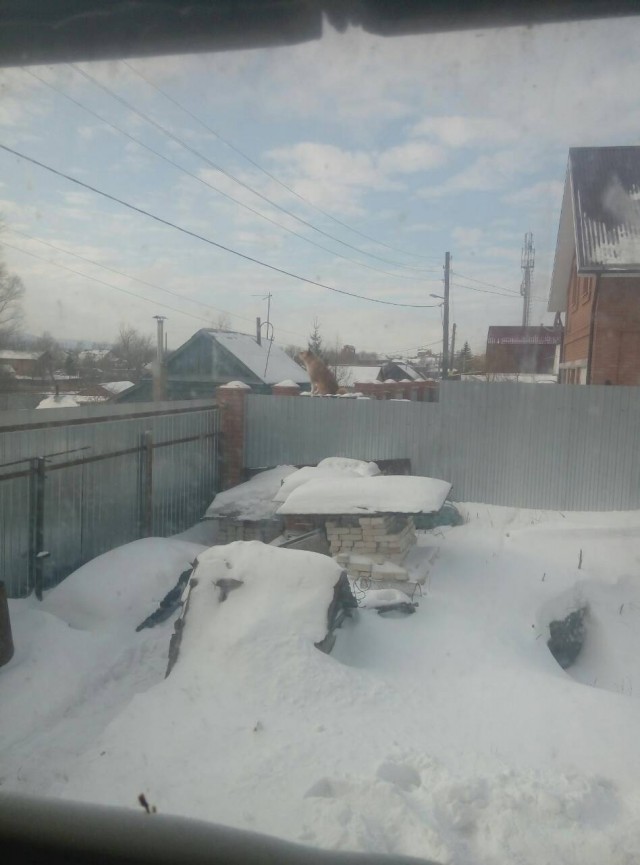 Воскресные картинки