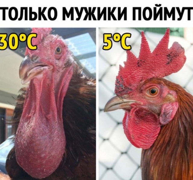 Так себе картинки 12.05.21