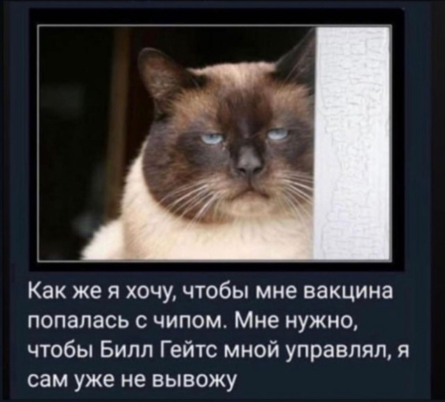 Вся эта ситуация с вакцинацией предсказывалась на ЯПе давно, только именовали её...