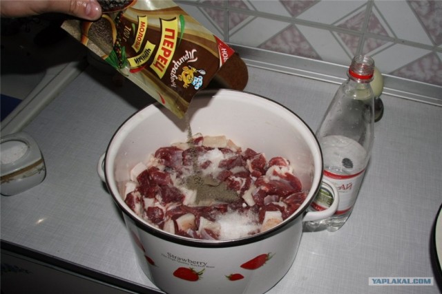 Шашлык, рецепты маринада, все про шашлык!