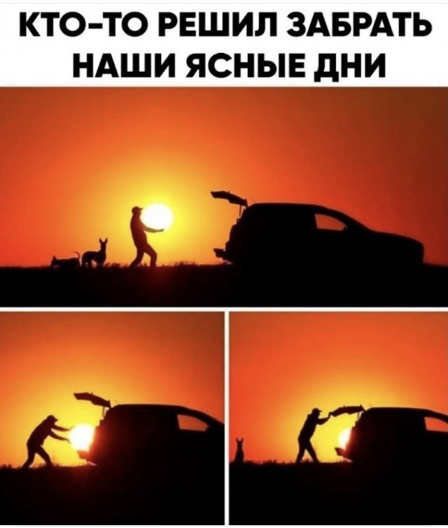 Весёлый полтишок 10.07