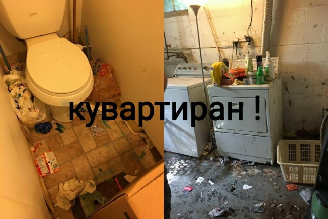 Картинки аморальные и всякие разные - 28
