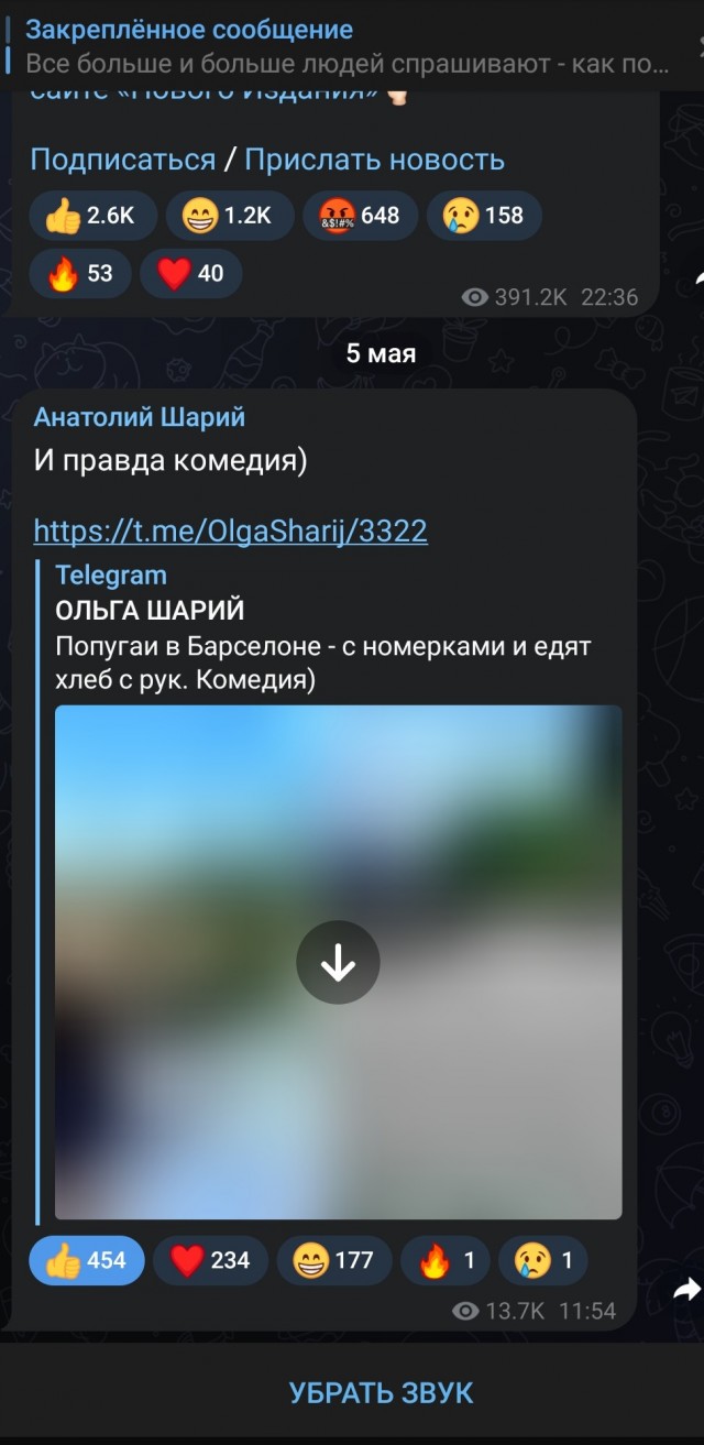 СБУ соообщает о задержании в Испании блогера Шария