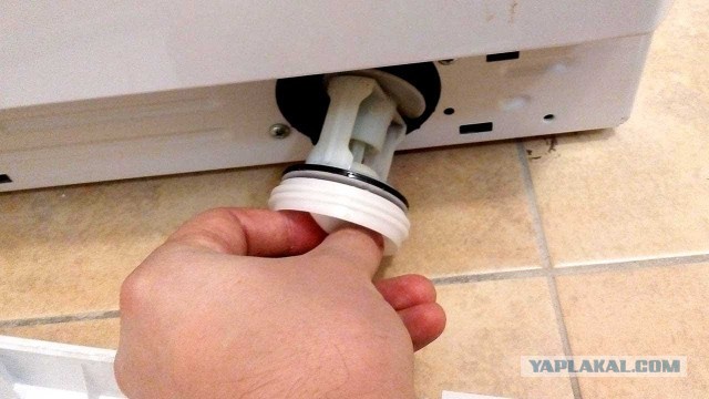 Жизнь домашнего приюта для котеек 393