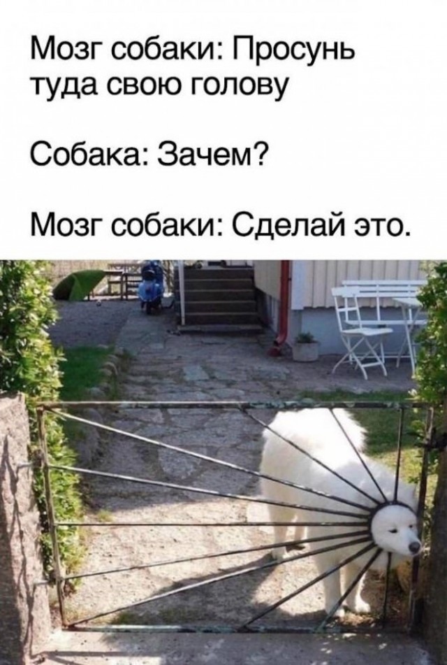 Так себе картинки 17.09.22