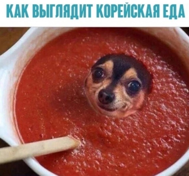 Народная меДИЧина 8.08
