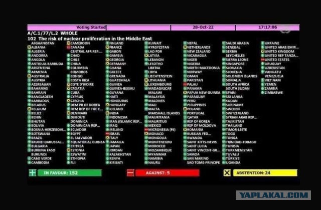 Украина с Россией единодушно проголосовали в ООН против Израиля