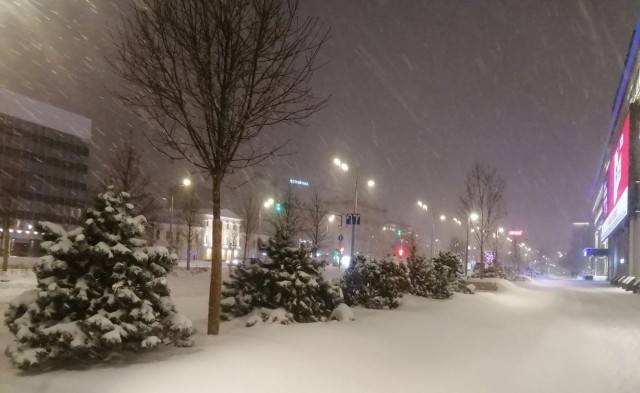 Этой ночью на Москву обрушился снегопад, которого не было более 80 лет