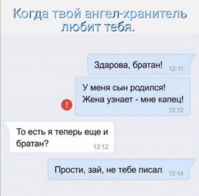 Весёлый полтишок 26.12.2022