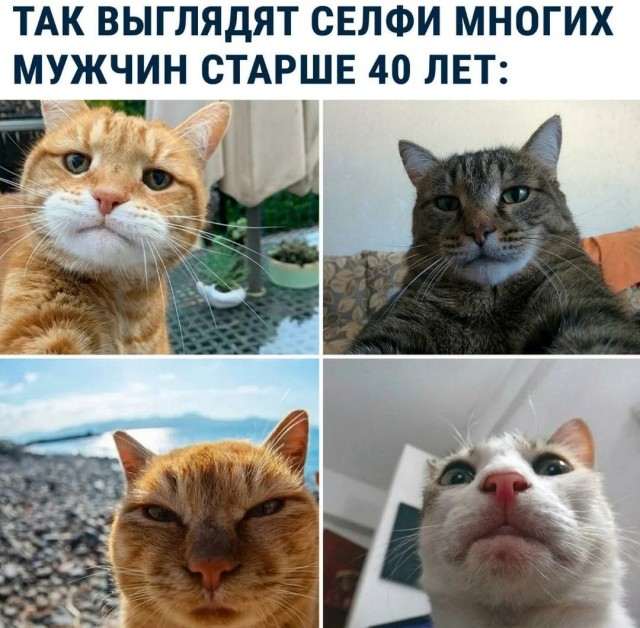 Налетай! Халявные бойаны!