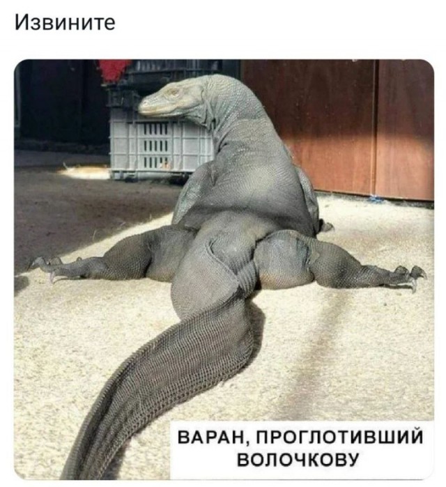 Всего понемногу. От 24.08.2023