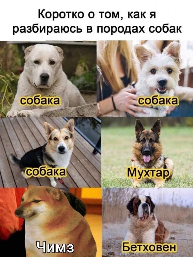 Картинки от Scodero 8