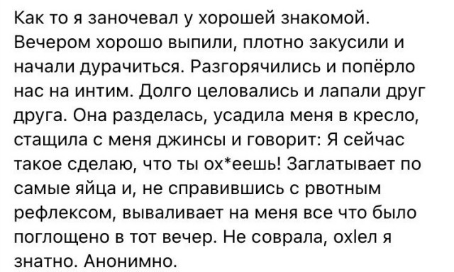 Весёлый полтишок 12.11.23