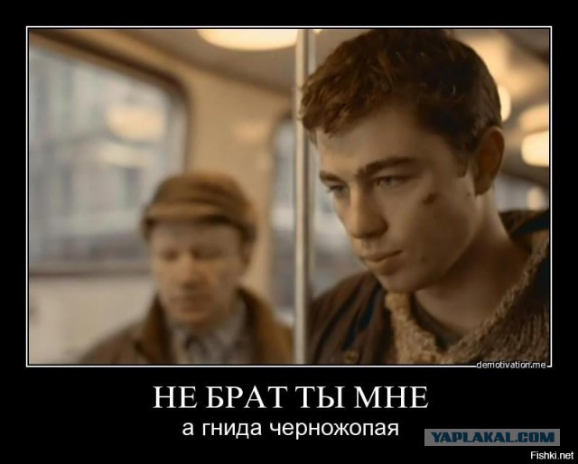 Добровольный помощник контролёров